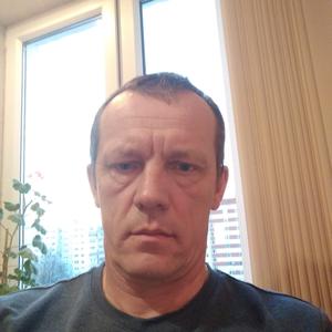 Владимир Лопатин, 51 год, Казань