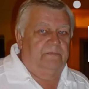 Владимир, 75 лет, Железногорск