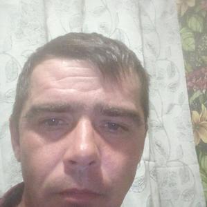 Александр, 37 лет, Новомосковск