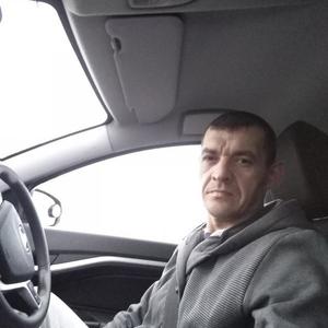 Андрей, 47 лет, Юрюзань
