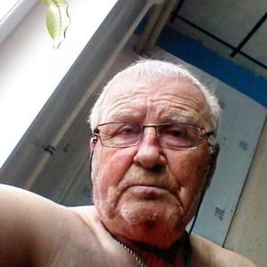 Парни в Новодвинске: Олег Елисеев, 61 - ищет девушку из Новодвинска