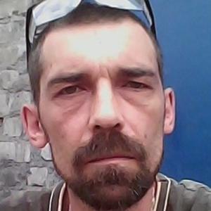 Шепель Алексей Викторович, 52 года, Гжель