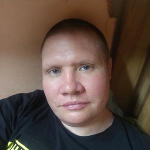 Владимир, 36 лет, Псков