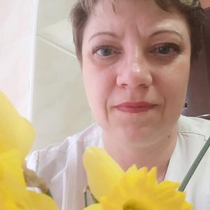 Эльвира, 54 года, Краснодар