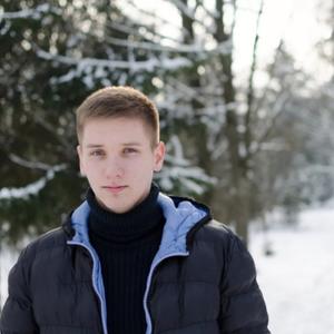 Даниил, 29 лет, Белгород