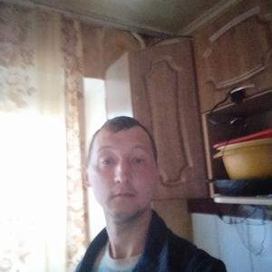 Денис, 31 год, Барнаул