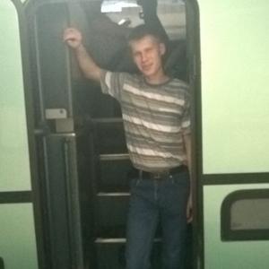 Парни в Вологде: Roman Postnow, 33 - ищет девушку из Вологды