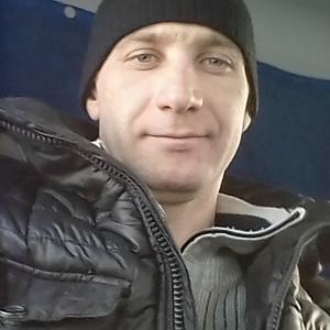 Парни в Шалинское: Игорь, 36 - ищет девушку из Шалинское