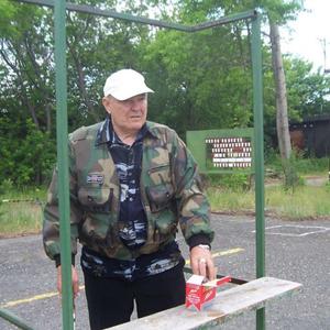 Парни в Челябинске: Владимир Шемендин, 67 - ищет девушку из Челябинска