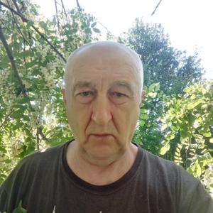 Владимир, 72 года, Локоть