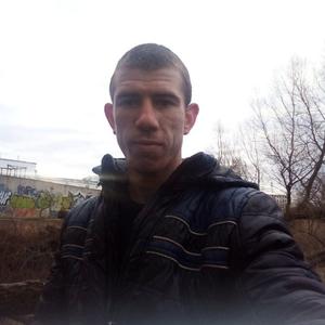 Саша Некифоров, 28 лет, Малая Вишера