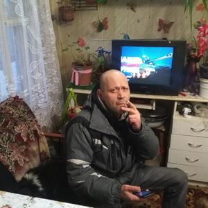 Арни, 44 года, Архангельск