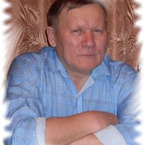 Анатолий, 70 лет, Барнаул