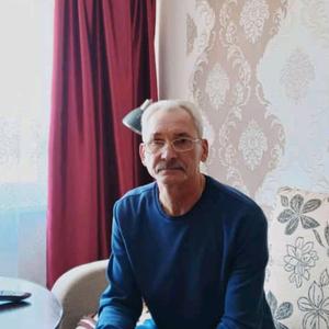 Александр, 65 лет, Красноярск