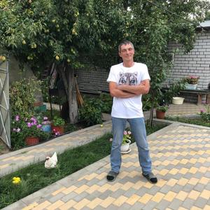 Парни в Гаврилов Посаде: Алексей, 41 - ищет девушку из Гаврилов Посада