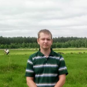 Сергей Патлин, 36 лет, Тюмень
