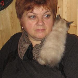 Девушки в Коломне: Olga Luchitskaya, 62 - ищет парня из Коломны