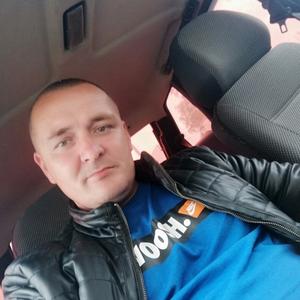 Алексей, 43 года, Киров
