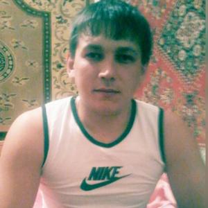 Макс, 34 года, Павлодар