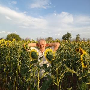 Лидия, 73 года, Воронеж