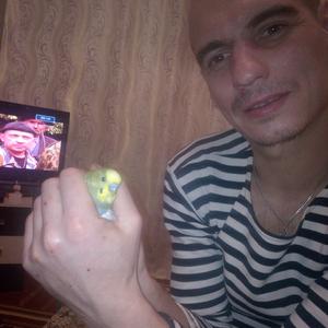 Парни в Волгодонске: Николай, 41 - ищет девушку из Волгодонска