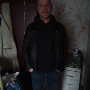 Николай, 42 года, Ярославль