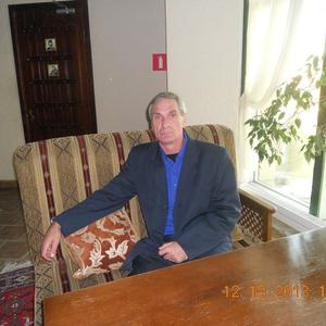 Олег Цыганков, 65 лет, Краснодар