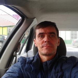 Парни в Карталах: Владимир, 46 - ищет девушку из Карталов