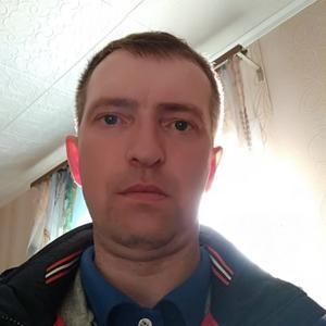 Виталий Прокопов, 47 лет, Коченево