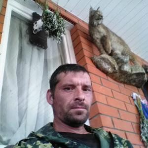 Сергей, 37 лет, Бабынино