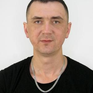 Владимир, 38 лет, Чита