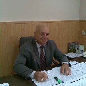 Владимир, 67 лет, Павловка