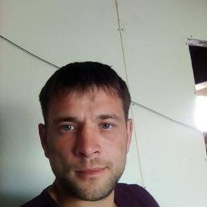 Саша, 41 год, Кемерово