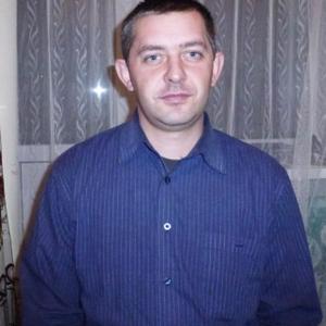 Владимир, 43 года, Хомутовка