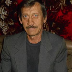 Сергей Казарских, 65 лет, Белово