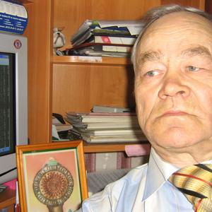 Виталий Кривощеков, 79 лет, Арзамас