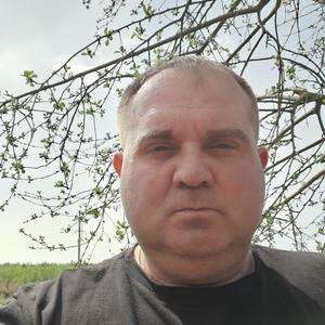 Андрей, 40 лет, Железногорск