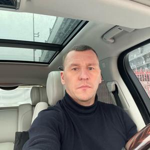 Алексей, 43 года, Немчиновка