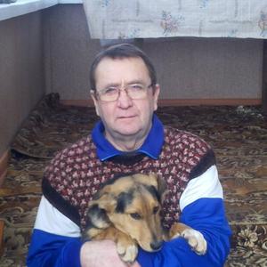 Сергей, 69 лет, Воронеж