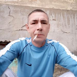 Александр Тарасов, 50 лет, Лойно
