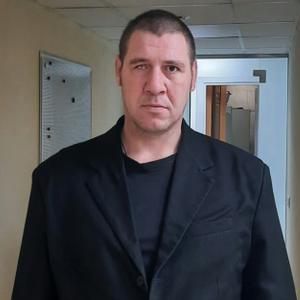 Владимир, 40 лет, Вичуга