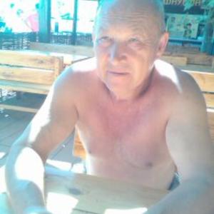 Владимир, 73 года, Санкт-Петербург