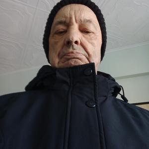 Александр, 74 года, Хабаровск