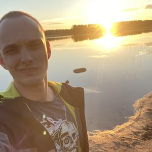 Дмитрий, 27 лет, Боровичи