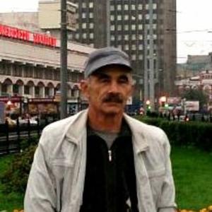 Сергей, 69 лет, Алтайский