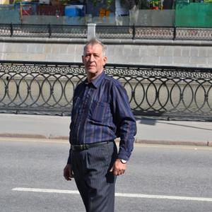 Вячеслав, 70 лет, Москва