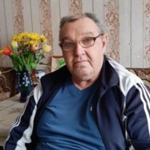 Александр, 66 лет, Белово