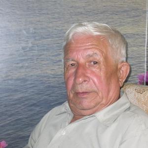 Валерий, 82 года, Новосибирск