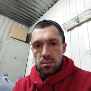 Парни в Бийске: Иван, 30 - ищет девушку из Бийска