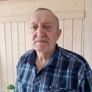 Парни в Салават: Николай, 77 - ищет девушку из Салават